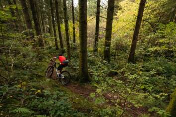 DG Credit Scotty Laghland 4