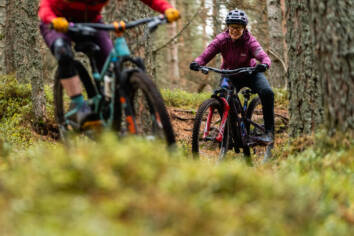 DM Bin S Aberdeen 53