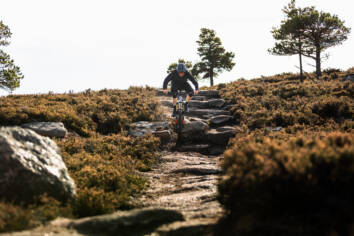 DM Bin S Aberdeenshire HBR Aboyne 14