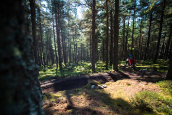 DM Bin S Cairngorms 11