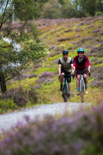 DM Bin S Cairngorms 33