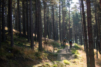 DM Bin S Cairngorms 6