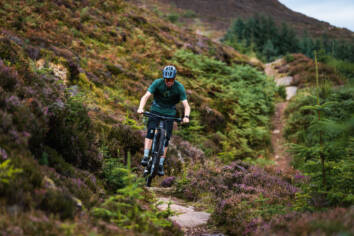 DM Bin S North Highlands 22