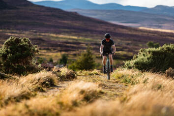 DM Bin S North Highlands 26