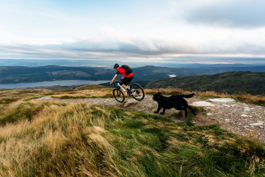 LLTNP Credit Scotty Laughland